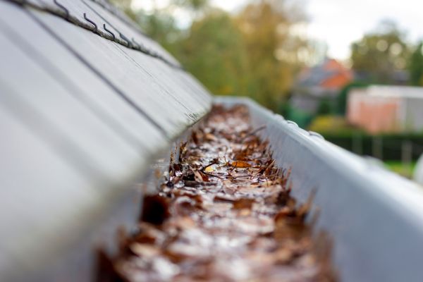 Commercial Gutter Cleaning in Lewisville