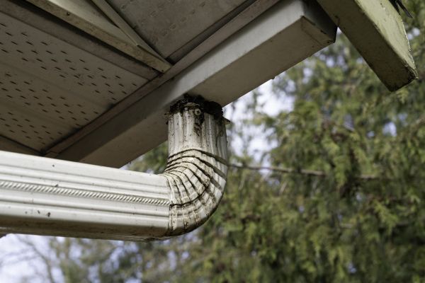 Downspout Cleaning in Lewisville
