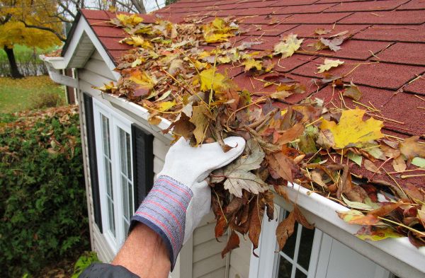 Rain Gutter Cleaning Service in Lewisville