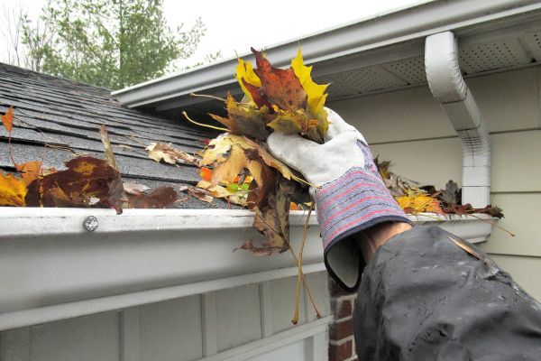 Roof Gutter Cleaning in Lewisville