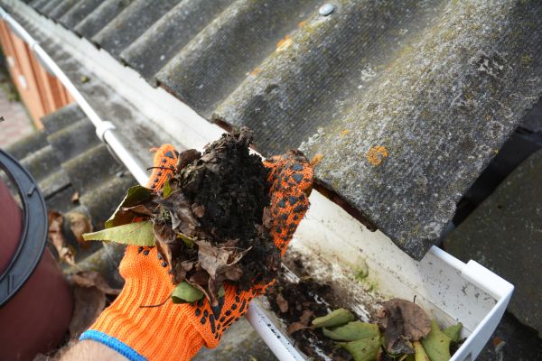 Seamless Gutter Cleaning in Lewisville