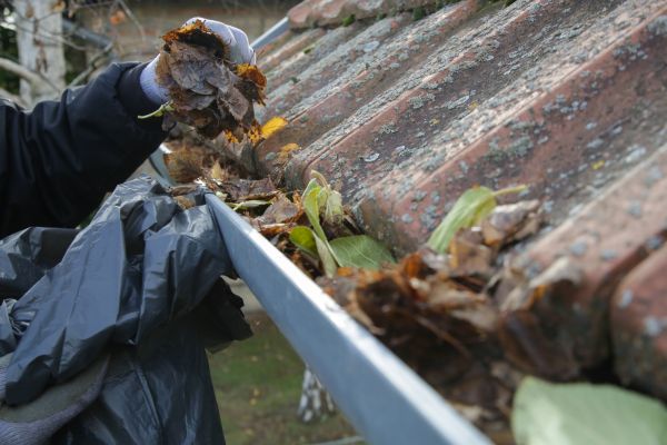 Commercial Gutter Unclogging in Lewisville