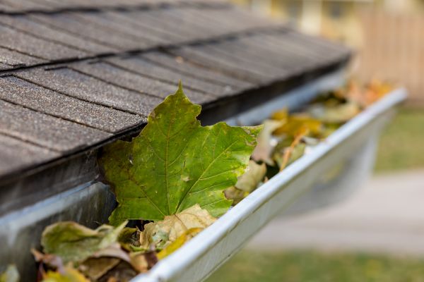 Commercial Downspout Cleaning in Lewisville