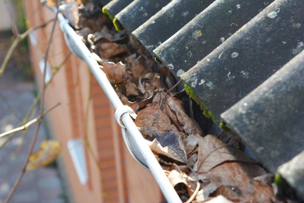 Home Gutter Cleaning in Lewisville