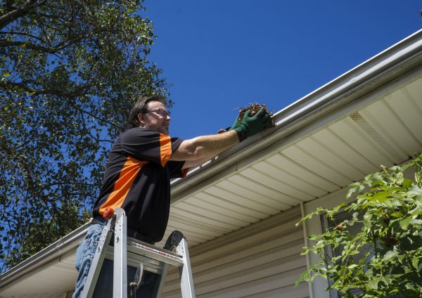 Eavestrough Clearing in Lewisville
