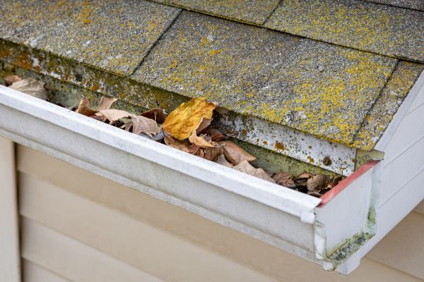 Garage Gutter Cleaning in Lewisville