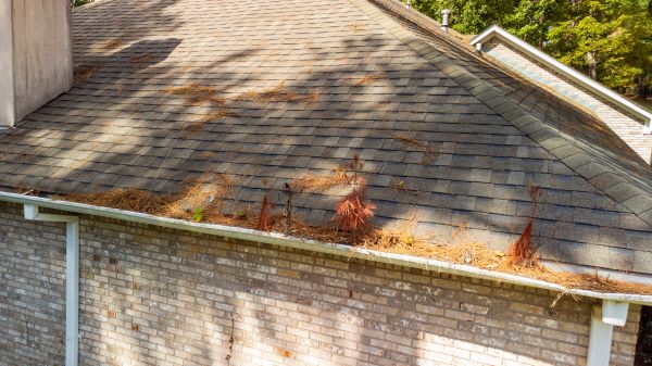 Gutter Pine Needle Removal in Lewisville